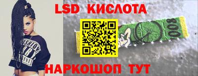 твердый Сланцы