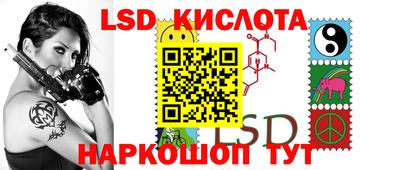 твердый Сланцы