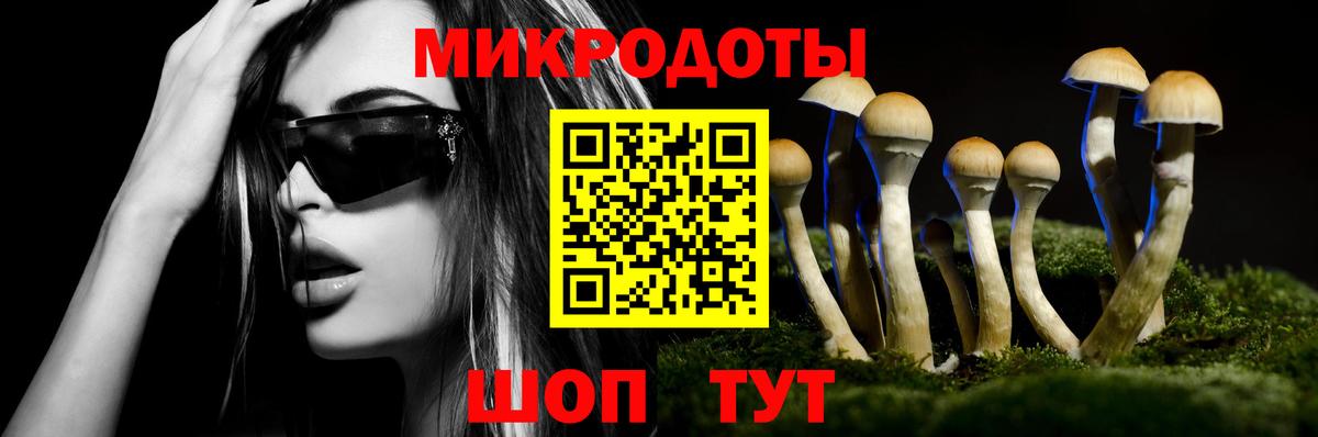 Псилоцибиновые грибы MAGIC MUSHROOMS  купить   Шумерля  Вход с VPN 